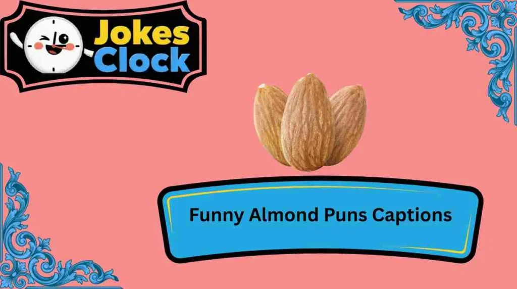 Funny Almond Puns Captions