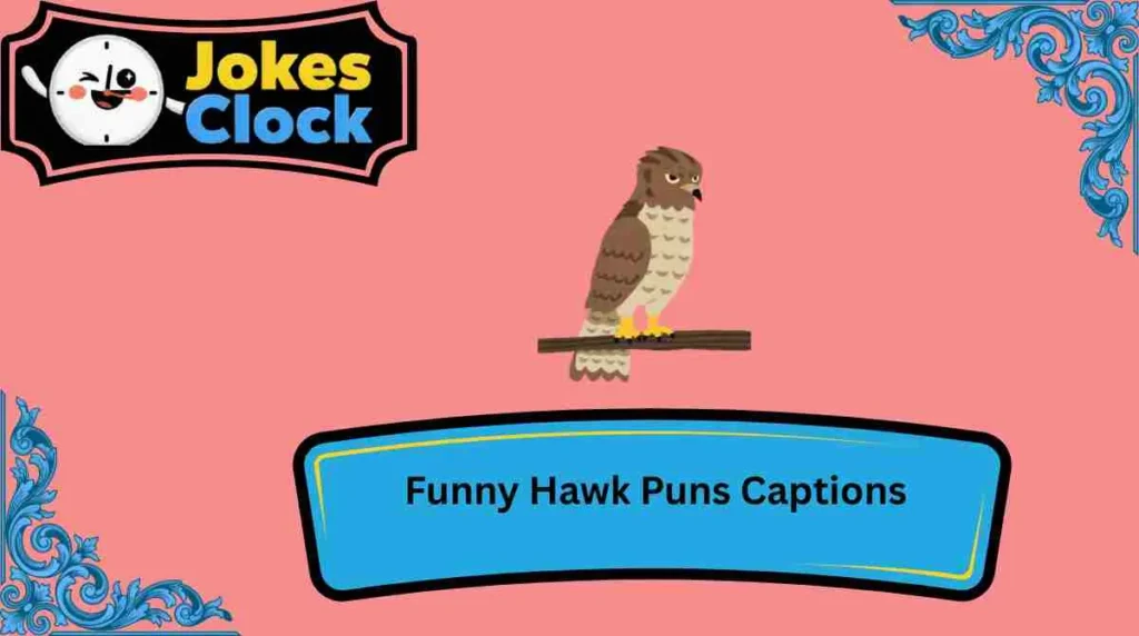 Funny Hawk Puns Captions