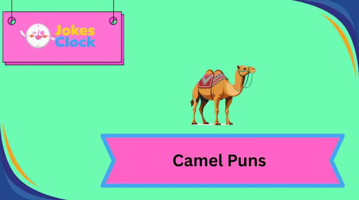 Camel Puns