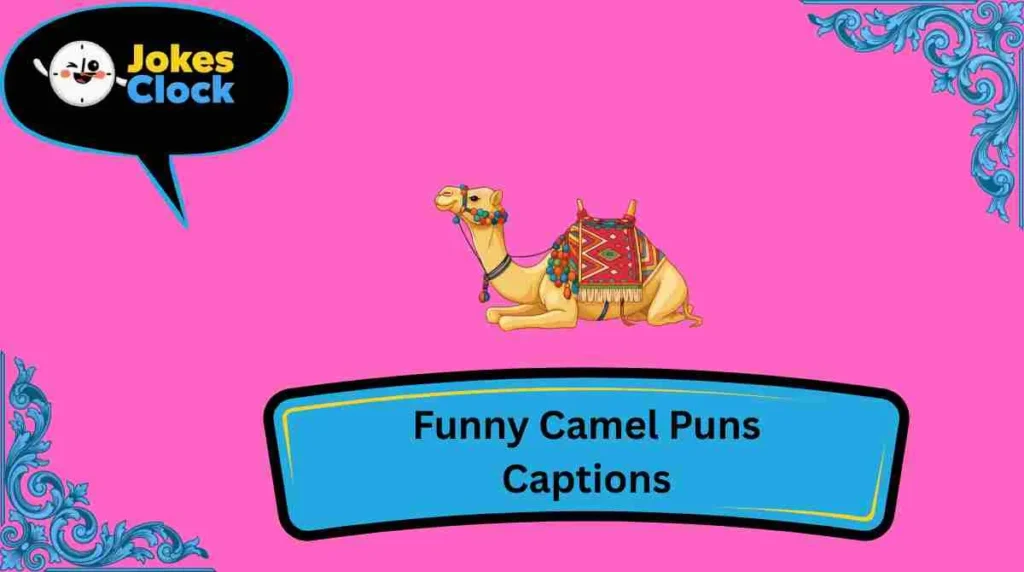 Funny Camel Puns Captions