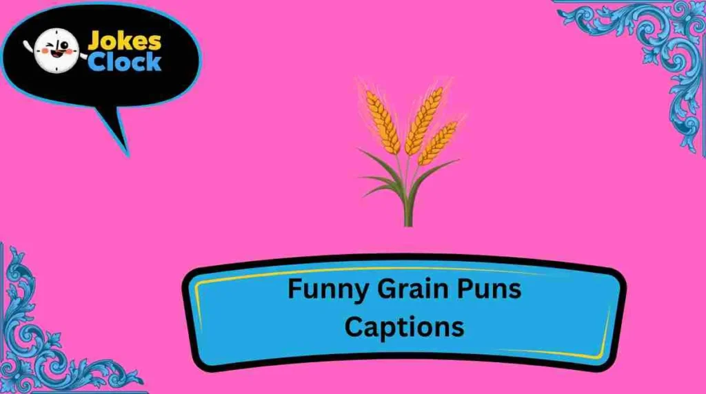 Funny Grain Puns Captions