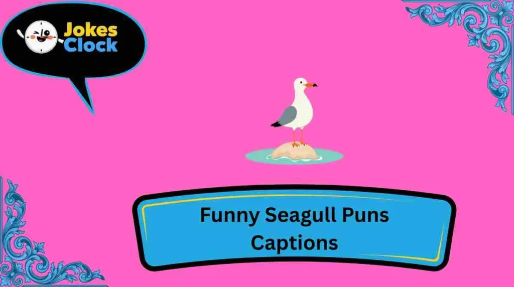 Funny Seagull Puns Captions