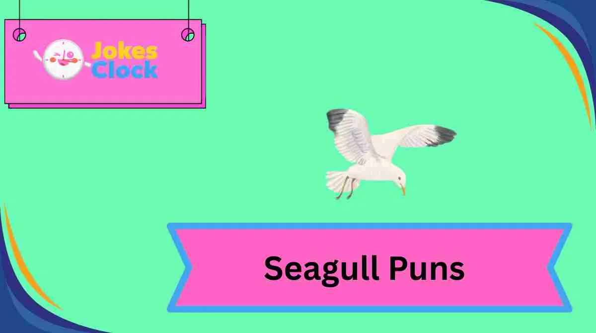 Seagull Puns