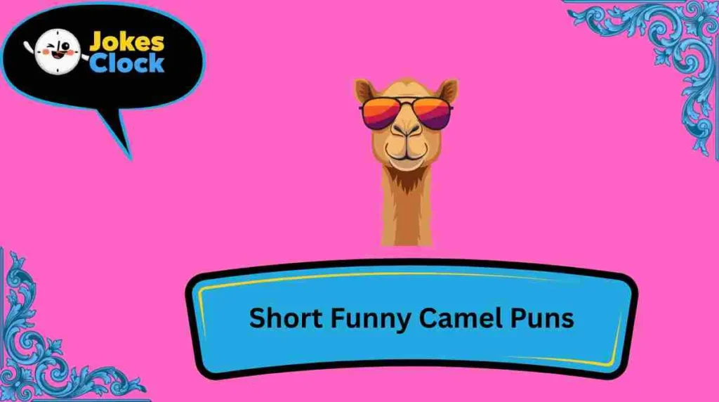 Short Funny Camel Puns