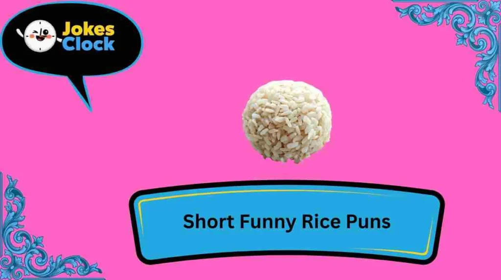 Short Funny Rice Puns