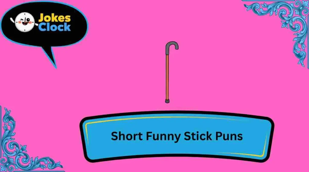 Short Funny Stick Puns