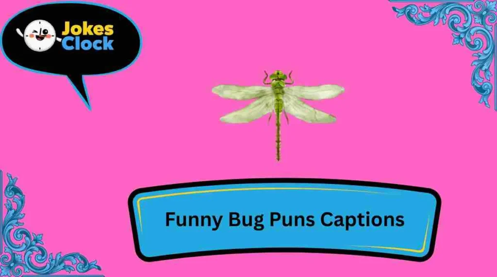 Funny Bug Puns Captions