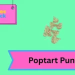 Poptart Puns