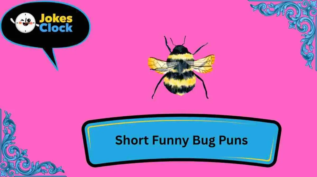 Short Funny Bug Puns