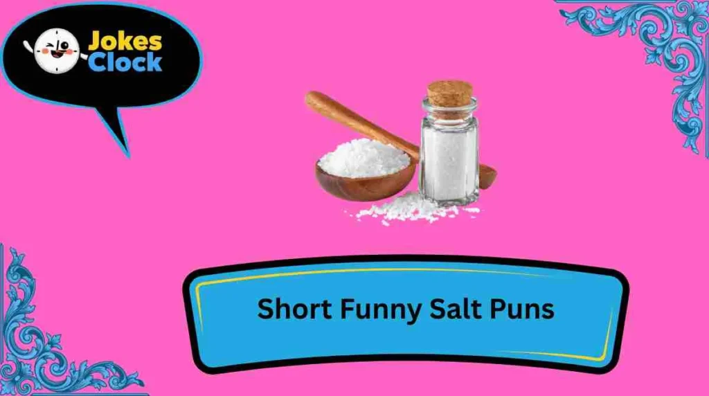 Short Funny Salt Puns